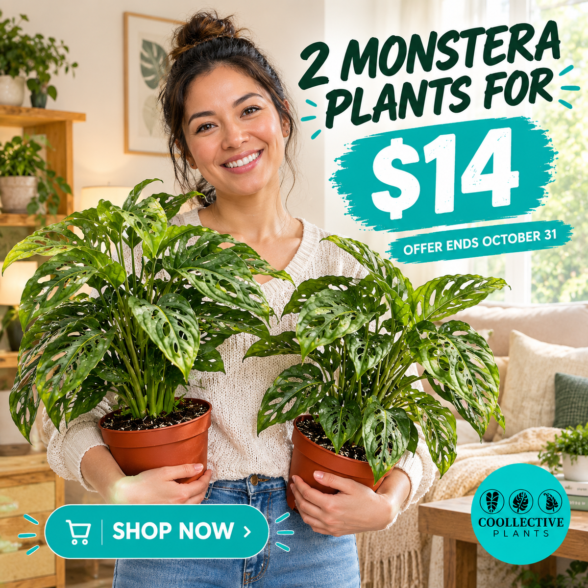 Monstera "Swiss Cheese" Plant 4" – 2-Pack Promo