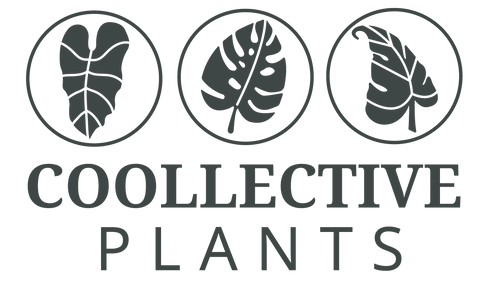 Coollective Plants Logo