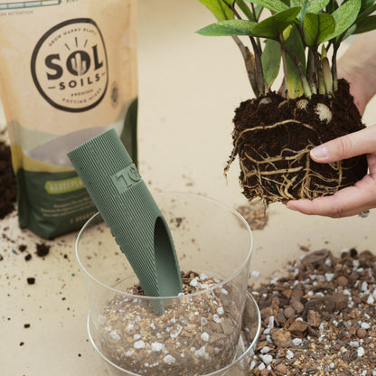 Houseplant Chunky Mix