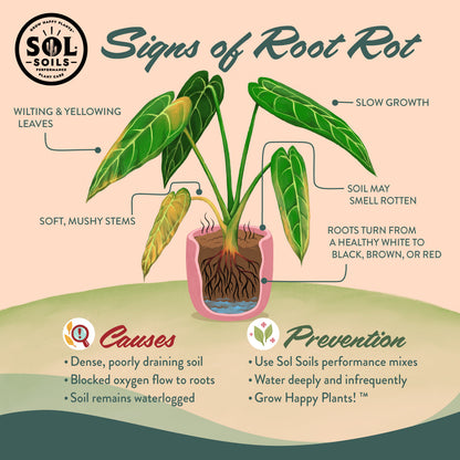 Orchid Chunky Mix