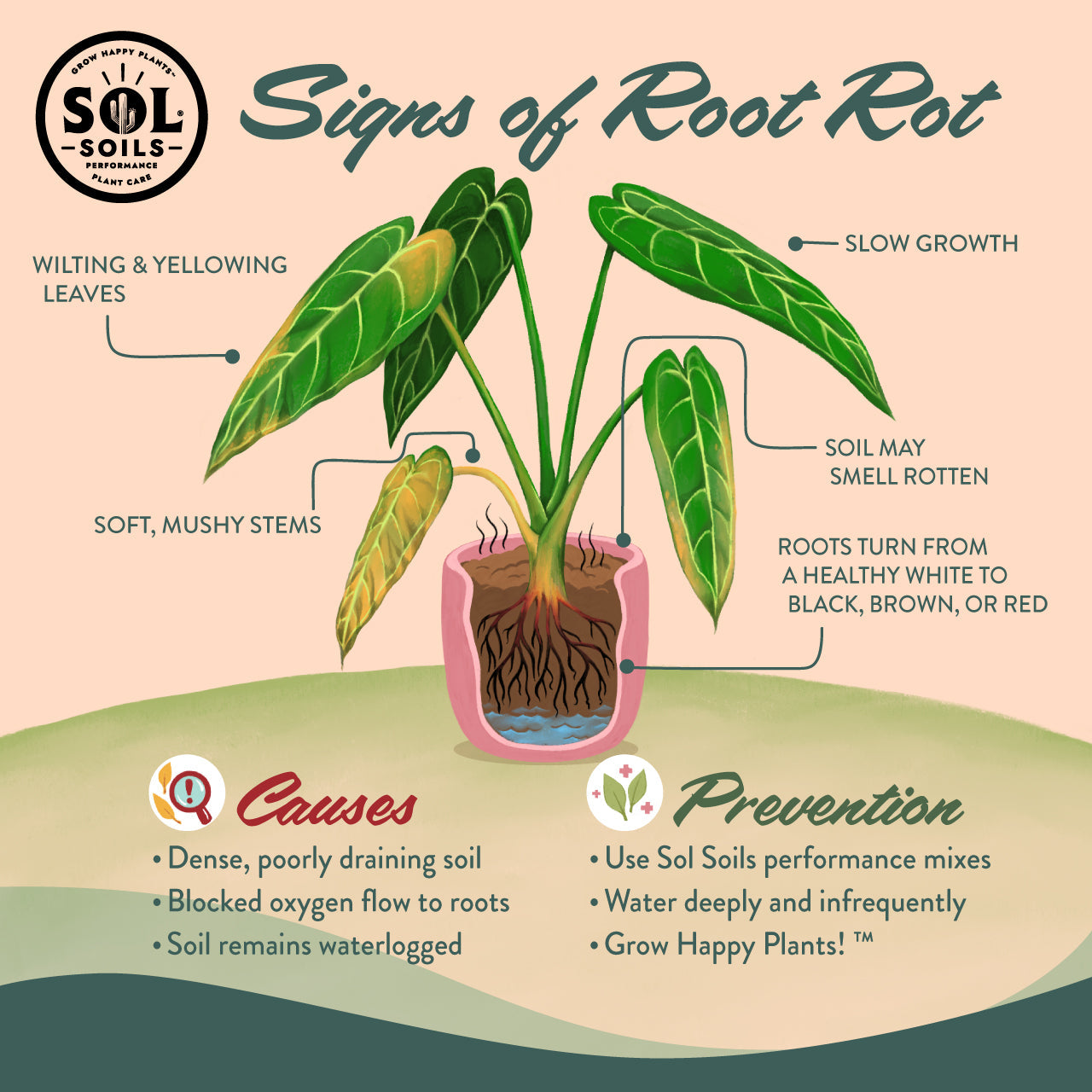 Seedling & Propagation Mix