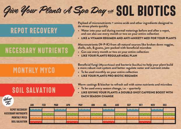 Sol Biotics - Repot Recovery - Repotting Shock Treatment (a Planti-Depressant, if you will…)