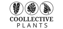 Coollective Plants