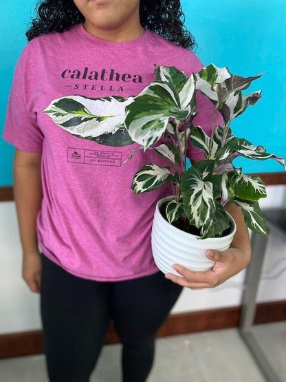 Stella T-Shirt