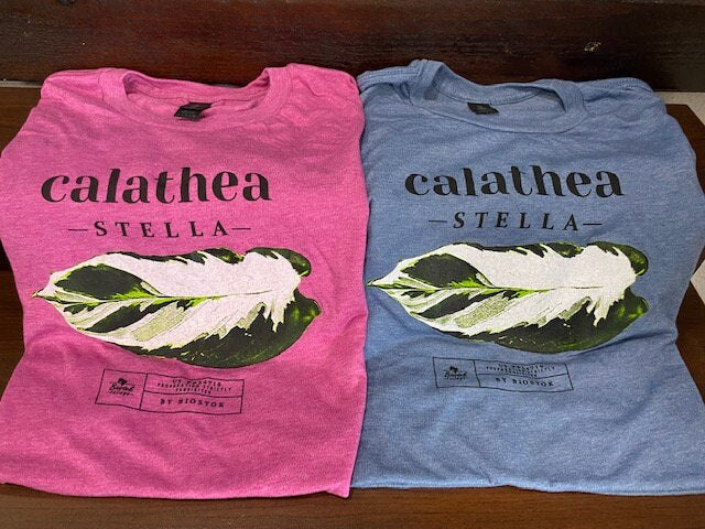 Stella T-Shirt